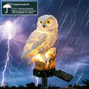 🦉Luminária - Coruja 😍