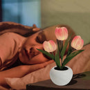Luminária Tulipa LED  5 em 1 🌷 - Elegância e Charme em Cada Detalhe