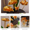 Aquário luxuoso e criativo decorado com peixes-lótus